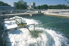 Công nghệ sản xuất các chế phẩm Biomix - 2 dùng trong xử lý nước thải